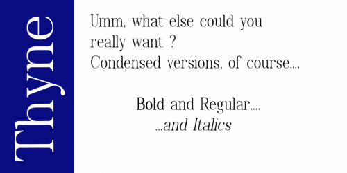 Thyne Serif Font  3