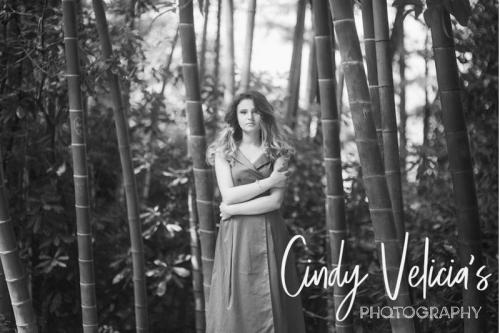 Tiara Williams Font 2