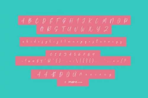 Tosca Pen Font 6