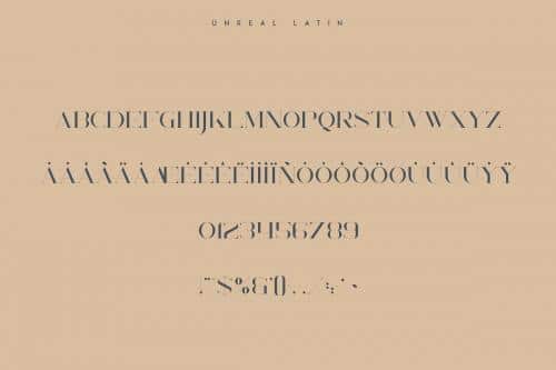 Unreal Serif Font 9