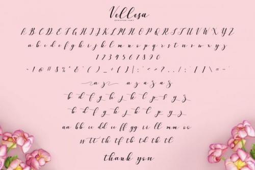 Vellesa Script Font 5
