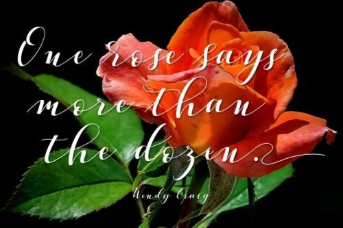 Vellesa Script Font 6