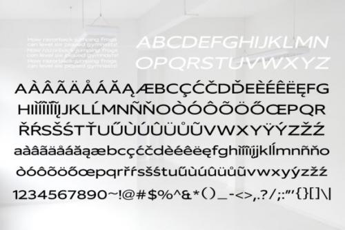 Vilsuve Sans Font Family 11