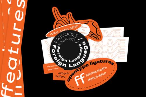 Vilsuve Sans Font Family 9