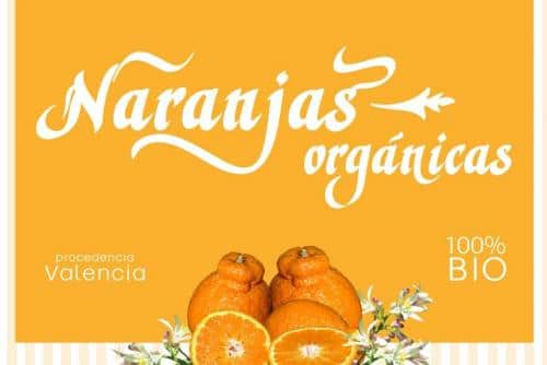 Violant Font Family 4