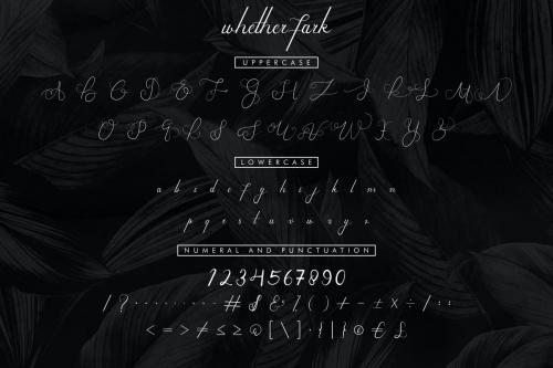 Whether Fark Signature Font 3