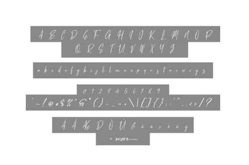 White Pen Script Font  5