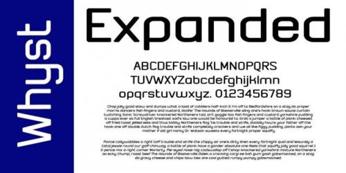 Whyst Sans Serif Font 1