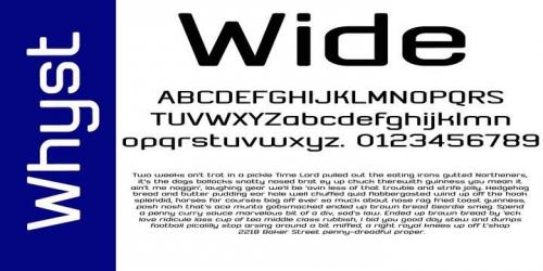 Whyst Sans Serif Font 2