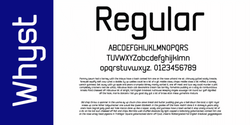 Whyst Sans Serif Font  4