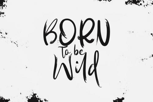 Wilgaty Brush Font 4