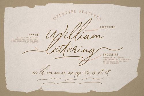 William Letter Signature Font 8