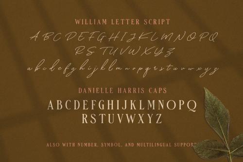 William Letter Signature Font 9