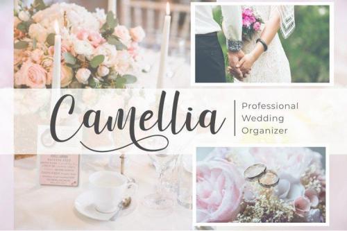 Winstonia Modern Calligraphy Font 10