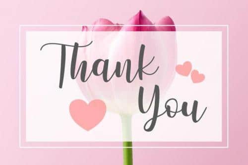 Winstonia Modern Calligraphy Font 2