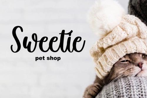 Winter Creative Handwritten Script Font 6