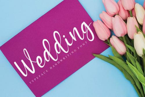 Winter House Script Font 2