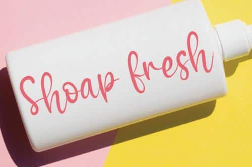 Winter House Script Font 3