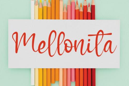 Winter House Script Font 4