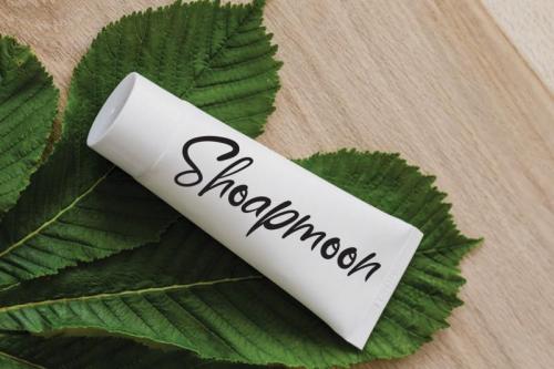 Winter Paradise Script Font 3