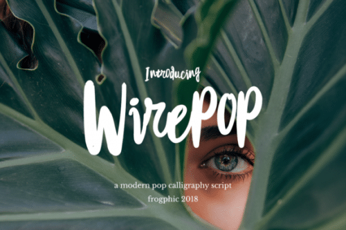 Wirepop Brush Font 1