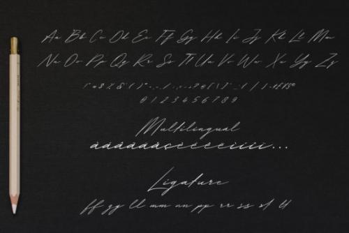 Wolvertton Signature Font 9