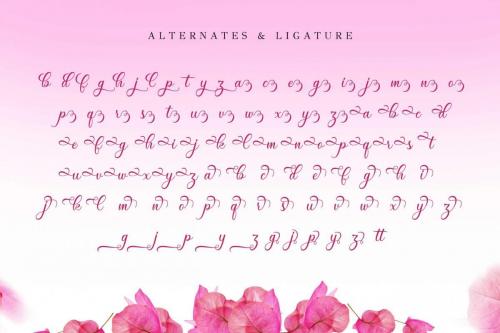 Wonderful Day Romantic Calligraphy Script Font 9