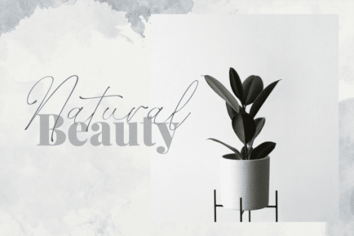 Xambdoria Luxury Organic Handwritten Font 3