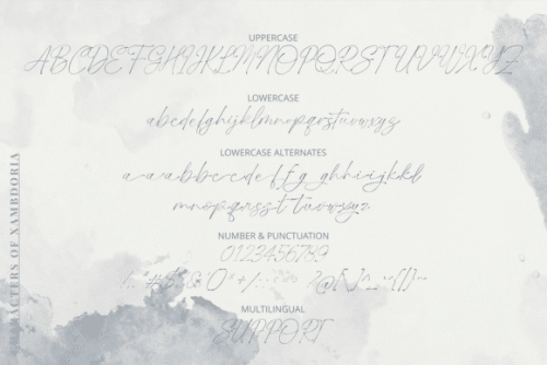 Xambdoria Luxury Organic Handwritten Font 8