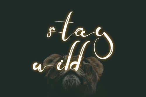 Yofanka Brush Font 1