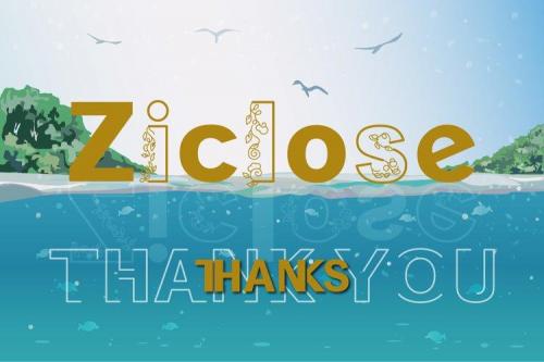 Ziclose Font 11