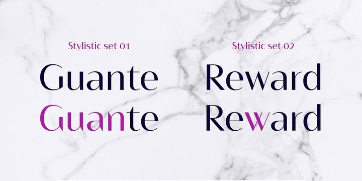 Bw Vivant Font Family 6