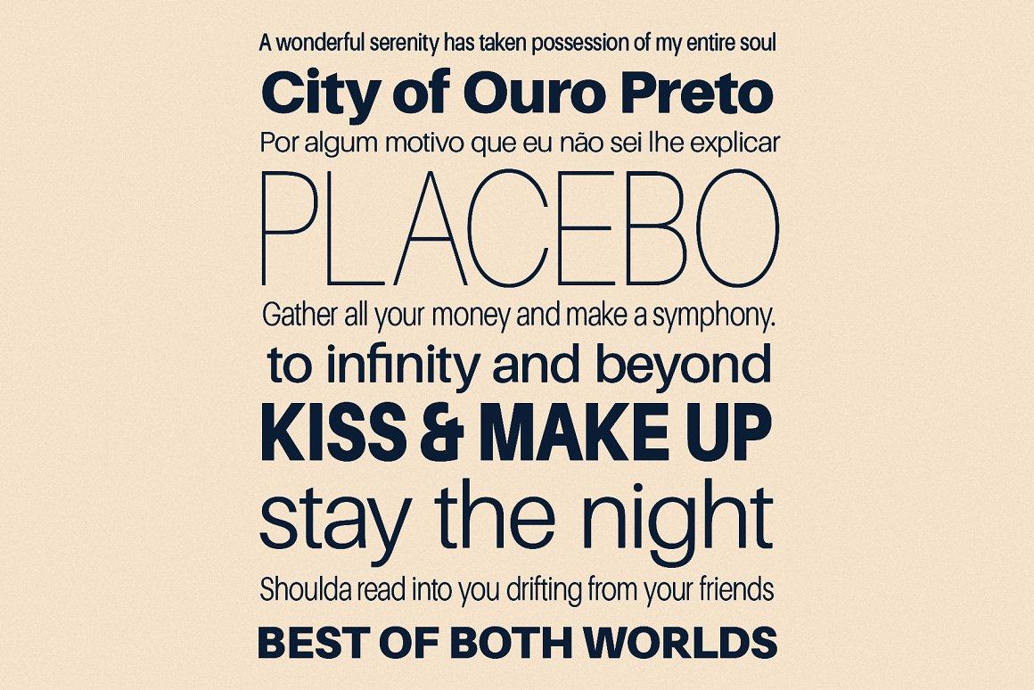 Finis Grotesk Font Family 3