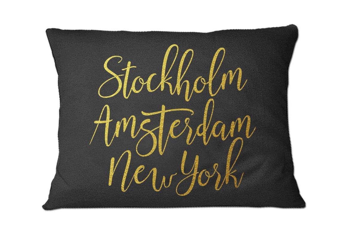 Gabriella Script Font 4