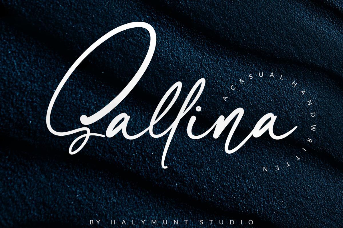 Sallina Script Font 1