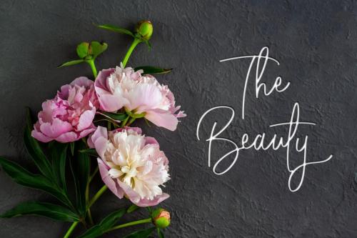 Absolute Nature Font 4