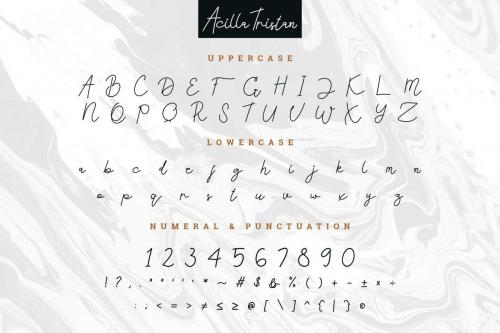 Acilla Tristan Handwriting Font 1