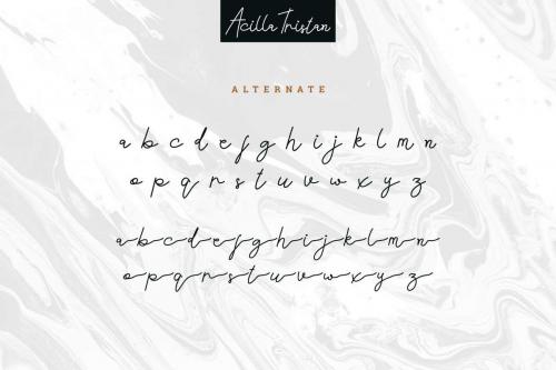 Acilla Tristan Handwriting Font 2