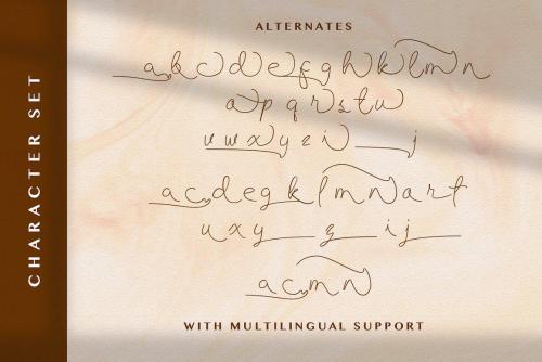 Allise Signature Script Font 14