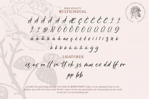 Allyssum North Font 10