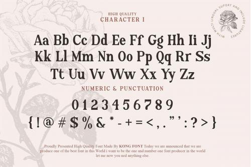 Allyssum North Font 8