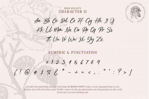 Allyssum North Font 9