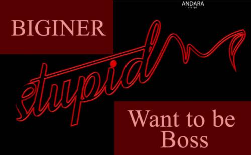 Andara Calligraphy Font 1