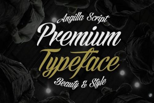 Angilla Font 2