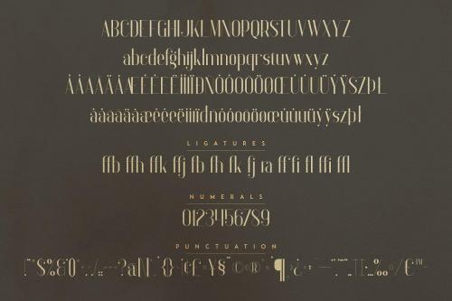 Anteric Sans Serif Font 9