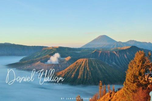 Arabella Handwritten Font 3
