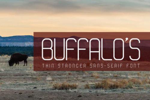 BUFFALO’S Font 1