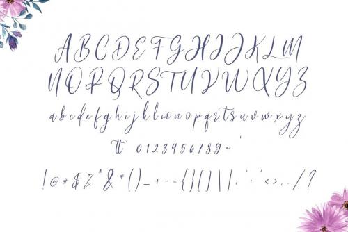 Bashira Calligraphy Font 10
