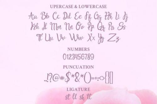 Bella Dahlia Font  2