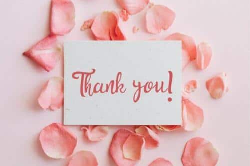 Bella Dahlia Font  3